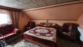 Проживание в семье Casa Erhan in Bucovina Кымпулунг-Молдовенеск Стандартный двухместный номер с 1 кроватью и общей ванной комнатой-6