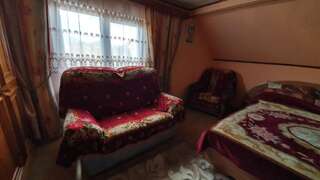 Проживание в семье Casa Erhan in Bucovina Кымпулунг-Молдовенеск Стандартный двухместный номер с 1 кроватью и общей ванной комнатой-7