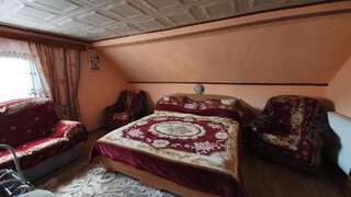 Проживание в семье Casa Erhan in Bucovina Кымпулунг-Молдовенеск Стандартный двухместный номер с 1 кроватью и общей ванной комнатой-1